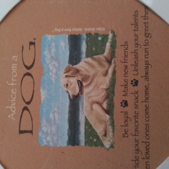 DOG -STONE COASTER with Easel and Nylon Collar - Picture 4 of 14